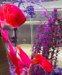 -Oasis Beauty水磨坊科技美肤中心