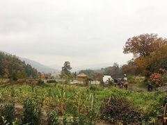 -塔川景区