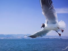 -滇池海埂公园