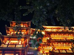 -大佛寺高级素食自助餐厅