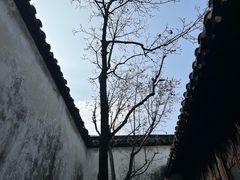 -拙政园