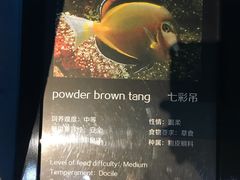 -乐从天佑城海洋馆