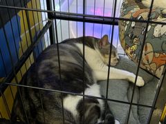 -谜盒子奇幻密室(南屏店)