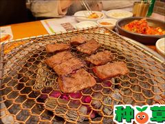 -青鹤谷(苏州店)