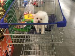 -麦德龙(嘉定店)