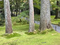 -三千院