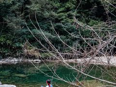 -龙湾潭国家森林公园