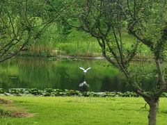 -同济大学(嘉定校区)