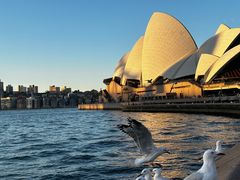 -悉尼歌剧院
