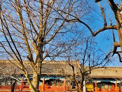 -北京石刻艺术博物馆(五塔寺)