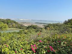 -广州莲花山旅游区