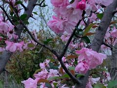 -外高桥保税区南(地铁站)