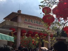 -广东茂名森林公园