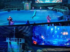-海合安武汉极地海洋公园