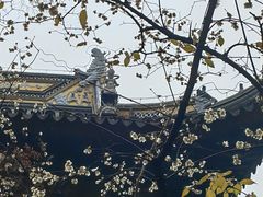 -西园戒幢律寺
