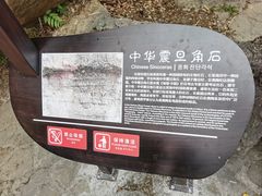 -梭布垭石林景区