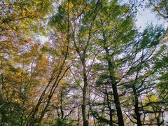 -白草畔自然风景区