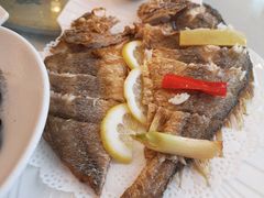 -骏莱海鲜鱼港(五角场店)