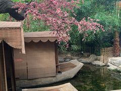 -世外桃源农庄·德清土菜(兴康南路店)