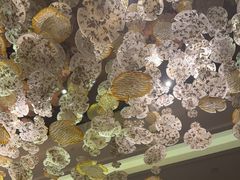 -大理实力希尔顿酒店•御玺中餐厅