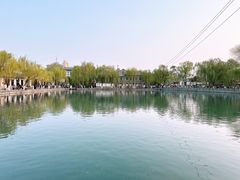-百花洲