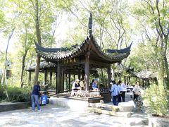 -上海佘山国家森林公园天马山园