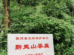 -黔灵山公园