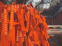 -龙口南山旅游景区