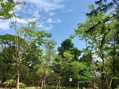 -美的鹭湖探索王国