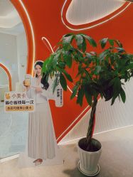 -Lily纤美·科技减脂中心