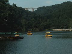 -黔灵山公园