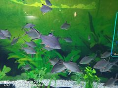 -常州海昌海洋探索馆