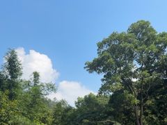 -广州市帽峰山景区