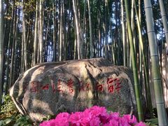 -上海醉白池公园