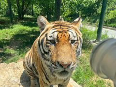 -栾川竹海野生动物园