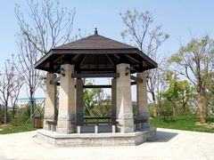 android_upload_pic-汤湖公园