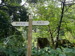 -火炉山森林公园