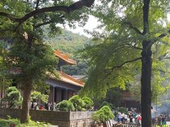 -普陀山风景名胜区-法雨禅寺