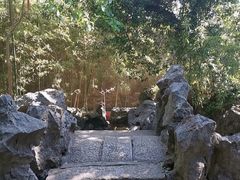 -灵岩山风景区