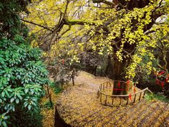 -岳麓山风景名胜区