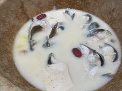 -老福耶小草帽石锅鱼(奥体店)