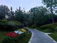 -思念果岭悦温泉