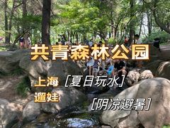 -上海共青森林公园