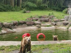 -宁波野生动物园