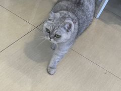 -Oasis绿洲银饰珍珠手作diy(壹方城店)