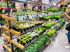 -鹿岛生活(熙地港店)