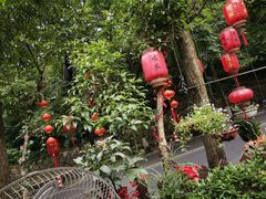 -国生茶庄·地道农家菜团建活动