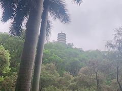 -深圳国际园林花卉博览园