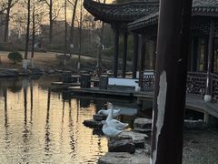 -日出青木·杭帮菜名店