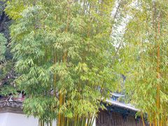 -黑龙潭公园